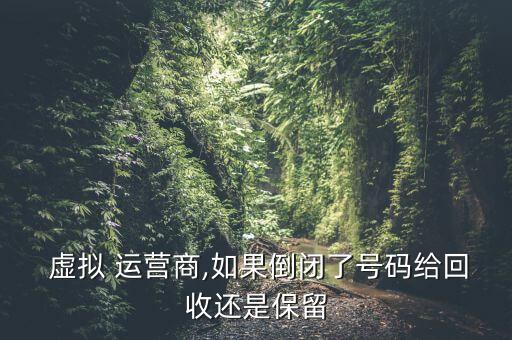  虛擬 運(yùn)營商,如果倒閉了號(hào)碼給回收還是保留