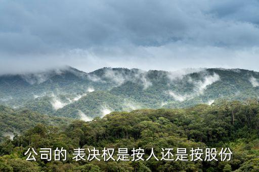 有限公司股東會(huì)出席表決權(quán),紫云有限公司設(shè)有股東會(huì)、董事會(huì)