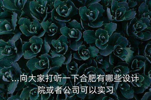 ...向大家打聽一下合肥有哪些設(shè)計院或者公司可以實習