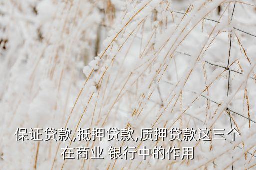 保證貸款,抵押貸款,質押貸款這三個在商業(yè) 銀行中的作用