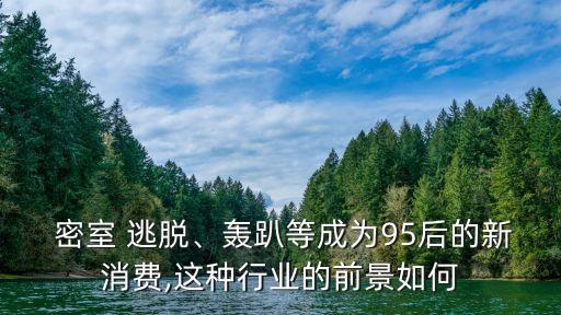  密室 逃脫、轟趴等成為95后的新消費,這種行業(yè)的前景如何
