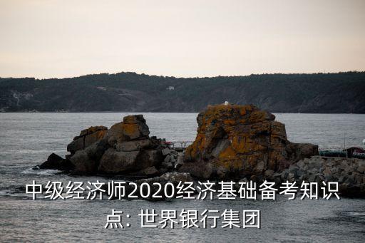 中級經(jīng)濟(jì)師2020經(jīng)濟(jì)基礎(chǔ)備考知識點(diǎn): 世界銀行集團(tuán)