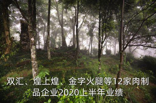 雙匯、煌上煌、金字火腿等12家肉制品企業(yè)2020上半年業(yè)績(jī)