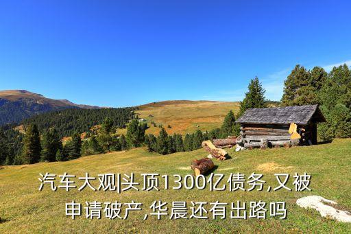 申華控股集團,華晨集團和申華控股的關(guān)系