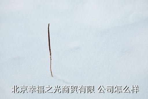  北京幸福之光商貿有限 公司怎么樣
