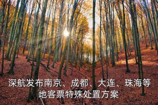  深航發(fā)布南京、成都、大連、珠海等地客票特殊處置方案