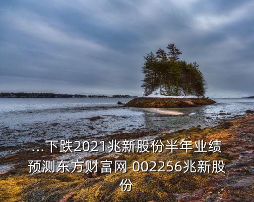 ...下跌2021兆新股份半年業(yè)績預(yù)測(cè)東方財(cái)富網(wǎng) 002256兆新股份