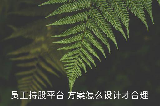員工持股平臺(tái) 方案怎么設(shè)計(jì)才合理