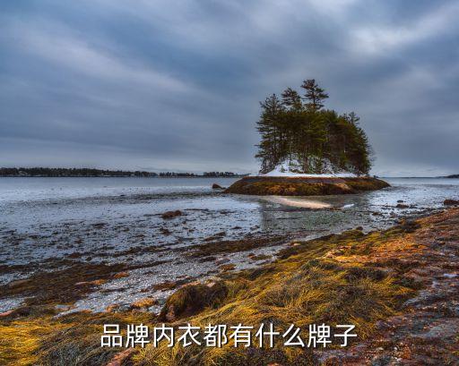 深圳匯潔集團(tuán)股份有限公司招股說(shuō)明書,深圳光匯石油集團(tuán)股份有限公司