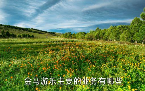  金馬游樂主要的業(yè)務有哪些