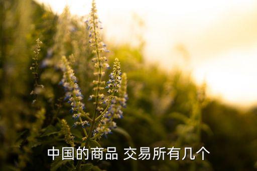 中國的商品 交易所有幾個