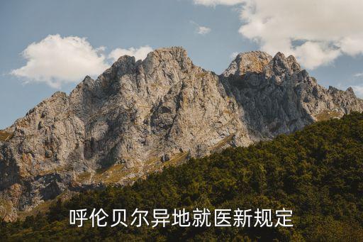 提高醫(yī)保基金申請,醫(yī)院申請增加醫(yī)?；痤~度報告