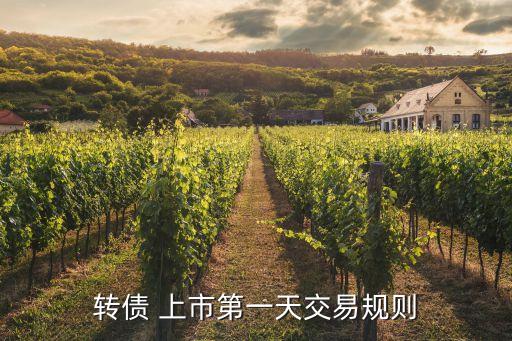 轉債 上市第一天交易規(guī)則