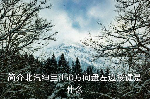 簡介北汽紳寶d50方向盤左邊按鍵是什么