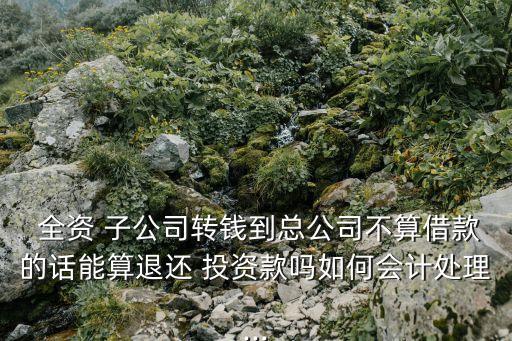  全資 子公司轉錢到總公司不算借款的話能算退還 投資款嗎如何會計處理...