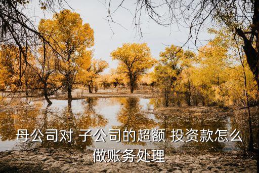 母公司對 子公司的超額 投資款怎么做賬務處理