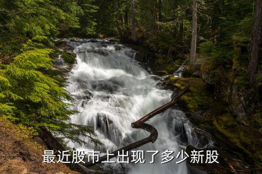 最近股市上出現了多少新股