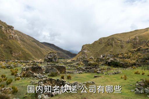 國(guó)內(nèi)知名快遞 公司有哪些