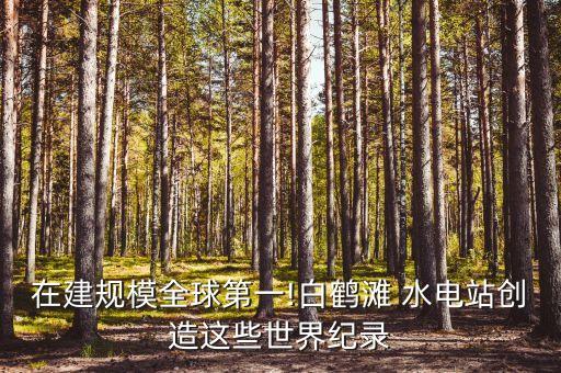 在建規(guī)模全球第一!白鶴灘 水電站創(chuàng)造這些世界紀錄