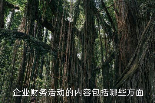  企業(yè)財務活動的內容包括哪些方面