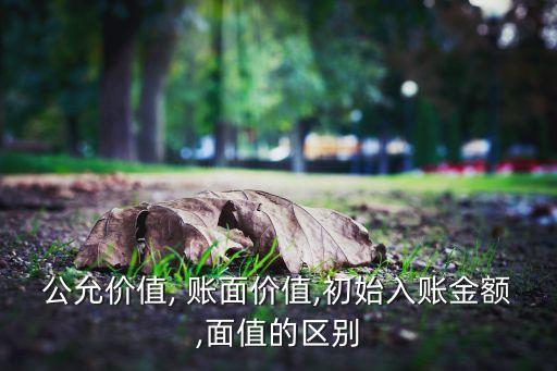 公允價值, 賬面價值,初始入賬金額,面值的區(qū)別