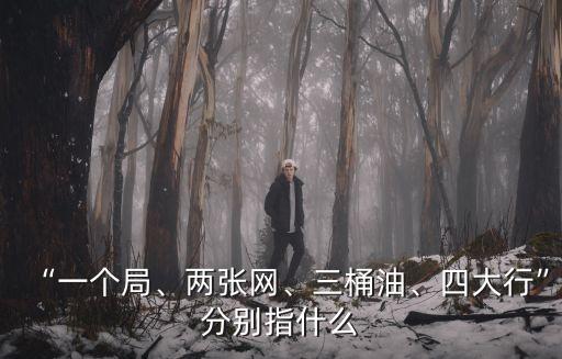 “一個(gè)局、兩張網(wǎng)、三桶油、四大行”分別指什么