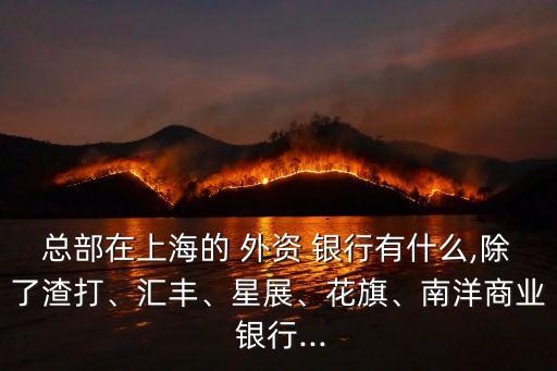 總部在上海的 外資 銀行有什么,除了渣打、匯豐、星展、花旗、南洋商業(yè) 銀行...