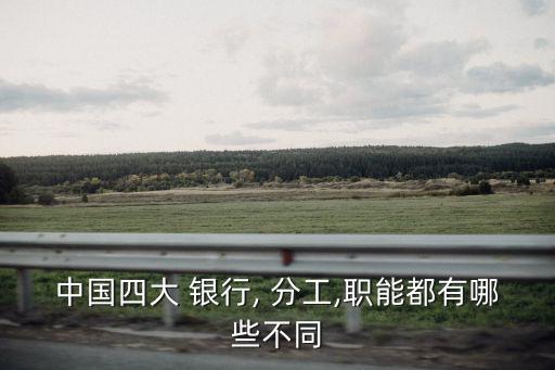 中國(guó)四大 銀行, 分工,職能都有哪些不同