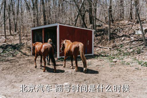  北京汽車 搖號時間是什么時候
