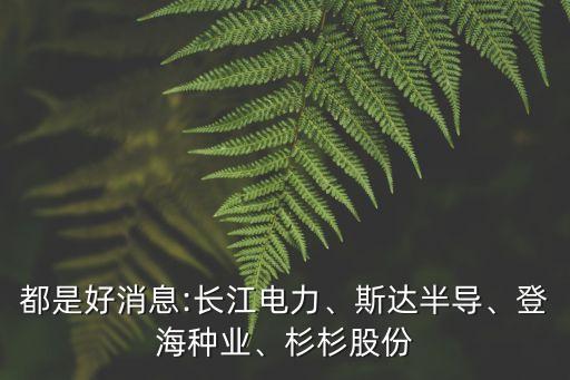 都是好消息:長(zhǎng)江電力、斯達(dá)半導(dǎo)、登海種業(yè)、杉杉股份