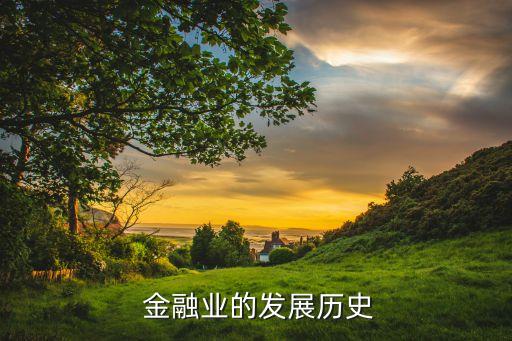 中國(guó)的金融是什么時(shí)候開(kāi)始出現(xiàn)的,金融挑戰(zhàn)賽什么時(shí)候開(kāi)始