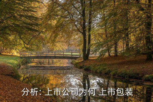 2013上市公司投資價值分析報告
