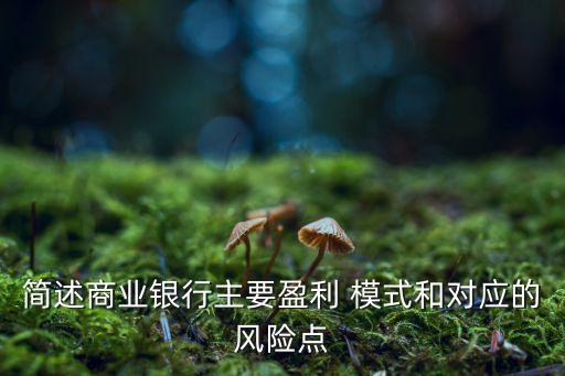 簡述商業(yè)銀行主要盈利 模式和對應的風險點