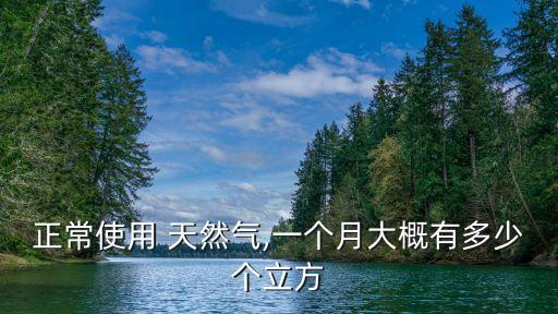 中國(guó)2015年天然氣消耗量