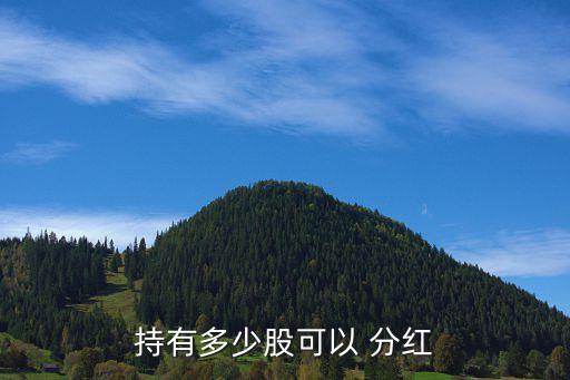 股票分紅權,上市公司股票分紅規(guī)則