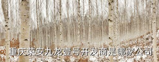  重慶榮安九龍壹號(hào)開發(fā)商是哪家公司