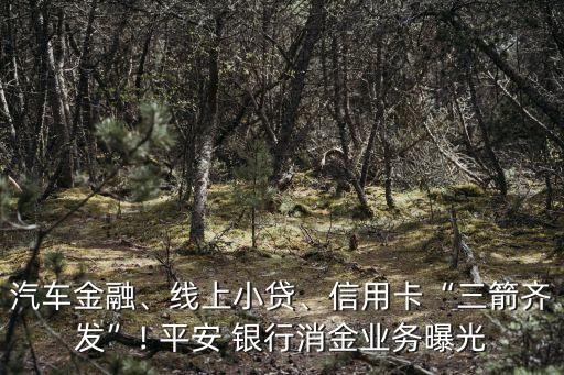 汽車金融、線上小貸、信用卡“三箭齊發(fā)”! 平安 銀行消金業(yè)務(wù)曝光
