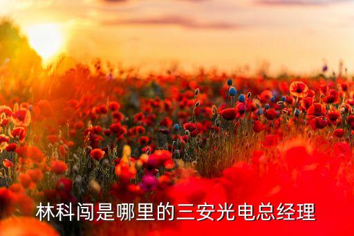 中國(guó)安芯控股有限公司,北京芯之路控股有限公司