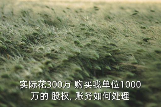 實(shí)際花300萬(wàn) 購(gòu)買我單位1000萬(wàn)的 股權(quán), 賬務(wù)如何處理