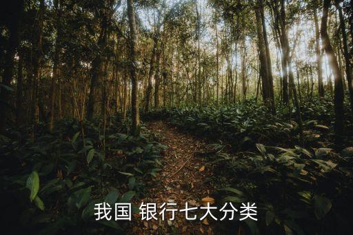 我國(guó) 銀行七大分類(lèi)