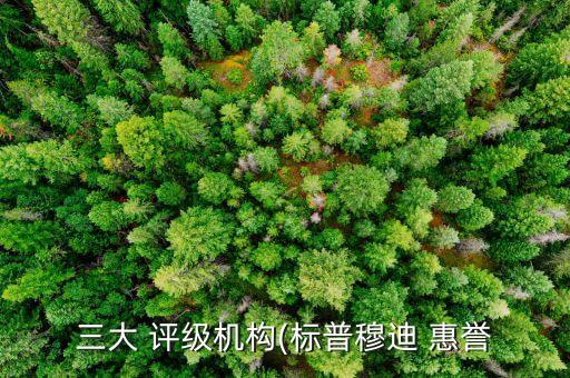 三大 評級機構(gòu)(標普穆迪 惠譽