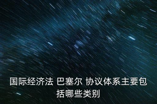 國際經濟法 巴塞爾 協(xié)議體系主要包括哪些類別