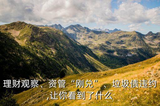 理財(cái)觀察、資管“剛兌”、垃圾債違約,讓你看到了什么