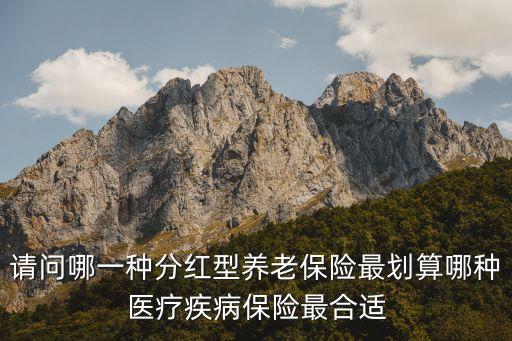 請(qǐng)問哪一種分紅型養(yǎng)老保險(xiǎn)最劃算哪種醫(yī)療疾病保險(xiǎn)最合適