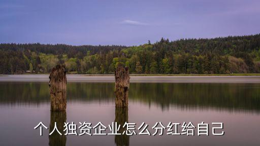 個人投資比例分配,個人獨資投資比例怎么填