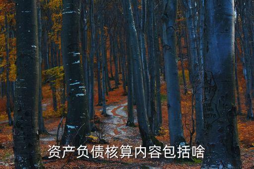 資產(chǎn)負債核算內容包括啥