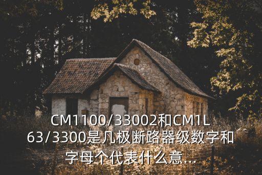 CM1100/33002和CM1L63/3300是幾極斷路器級數字和字母個代表什么意...