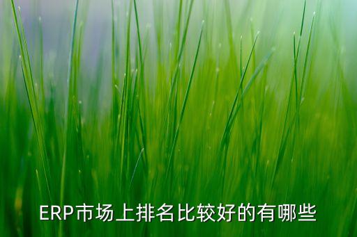 ERP市場(chǎng)上排名比較好的有哪些