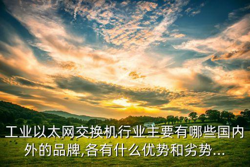 工業(yè)以太網交換機行業(yè)主要有哪些國內外的品牌,各有什么優(yōu)勢和劣勢...