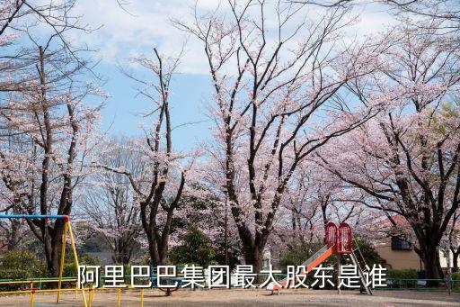  阿里巴巴集團(tuán)最大股東是誰